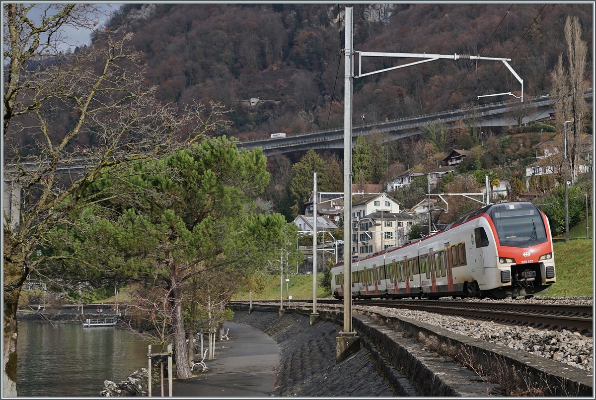 The new SBB Flirt RABe 523 107 on the way to Aigle near Villeneuve. 

04.01.2022