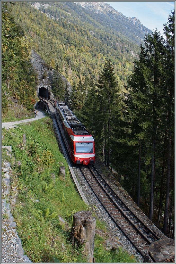 The new TMR (MC) BDeh 4/8 N° 71 (SNCF Z870) between Le Trétien and Finhaut.
03.10.2014