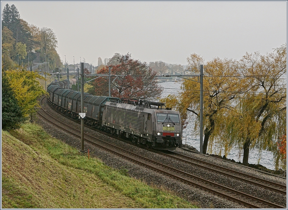 The NOVELIS 189 990 with his Cargo Trian from Sierre to Göttingen near Villeneuve.
06.11.2018