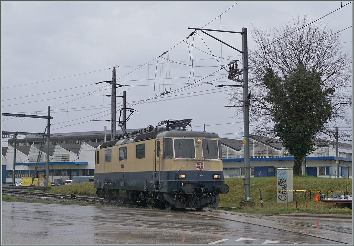 The  Rheingold  IRSI Re 4/4 11387, which came from Morges, leaves the route to Geneva in Gland and drives over an industrial track towards the gravel works to pick up its train to Apples. The rented IRSI/IGE Re 4/4 II 11387 (Re 421 387-2) replaces the BAM MBC MBC Re 420 506, which is currently undergoing revision in Bellinzona.

February 22, 2024