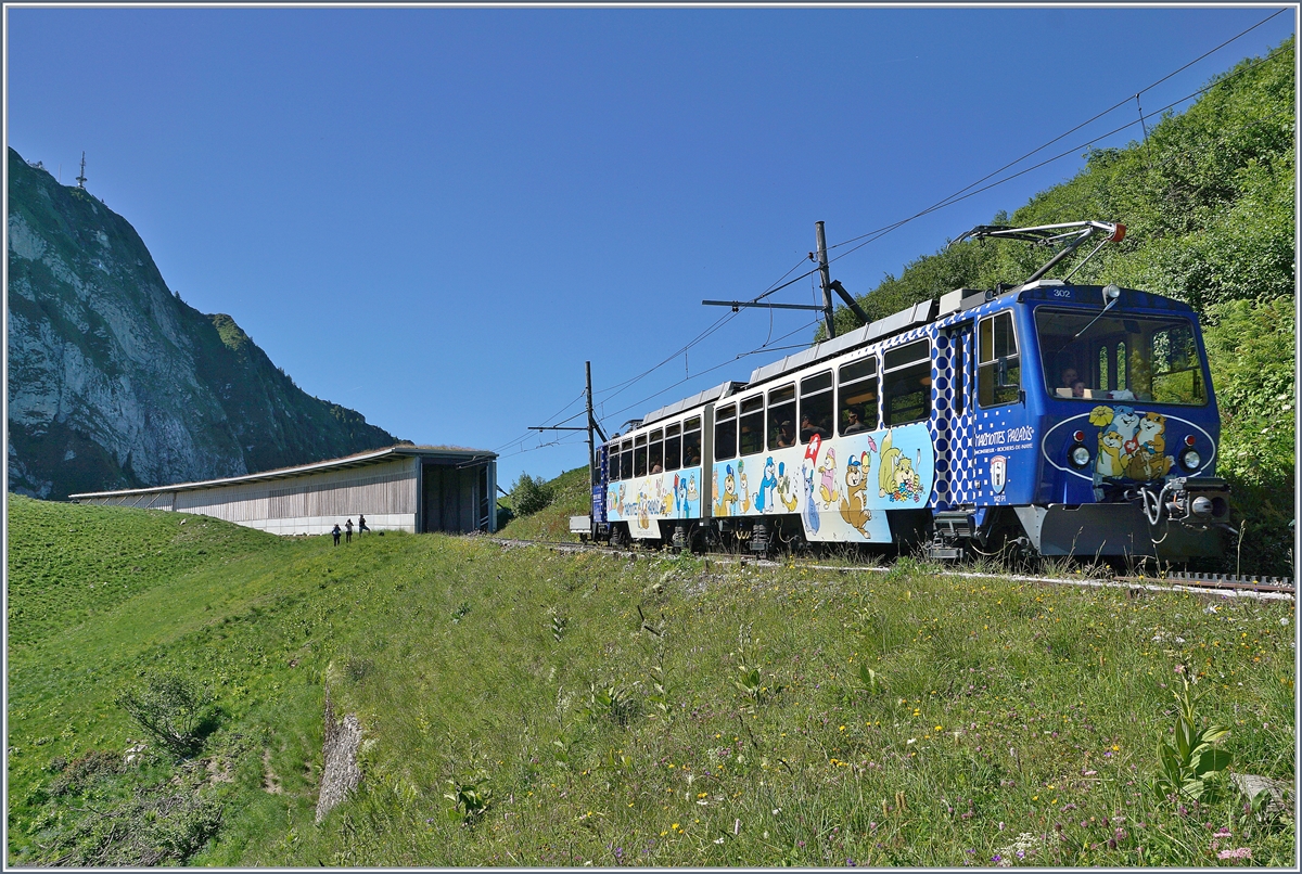 The Rochers de Naye Bhe 4/8 302 on the way to the summit near Janam.30.06.2018