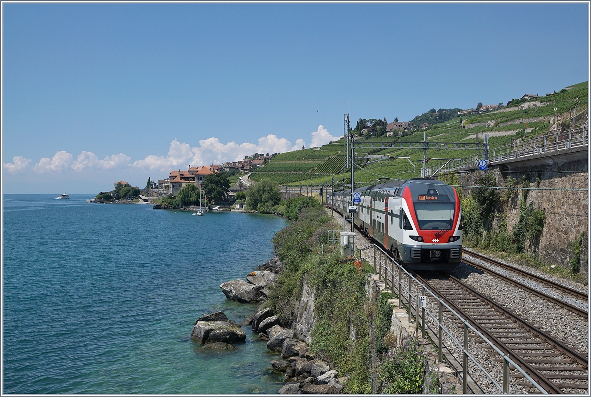 The SBB 511 037 on the way to Geneva by Rivaz.
19.07.2018