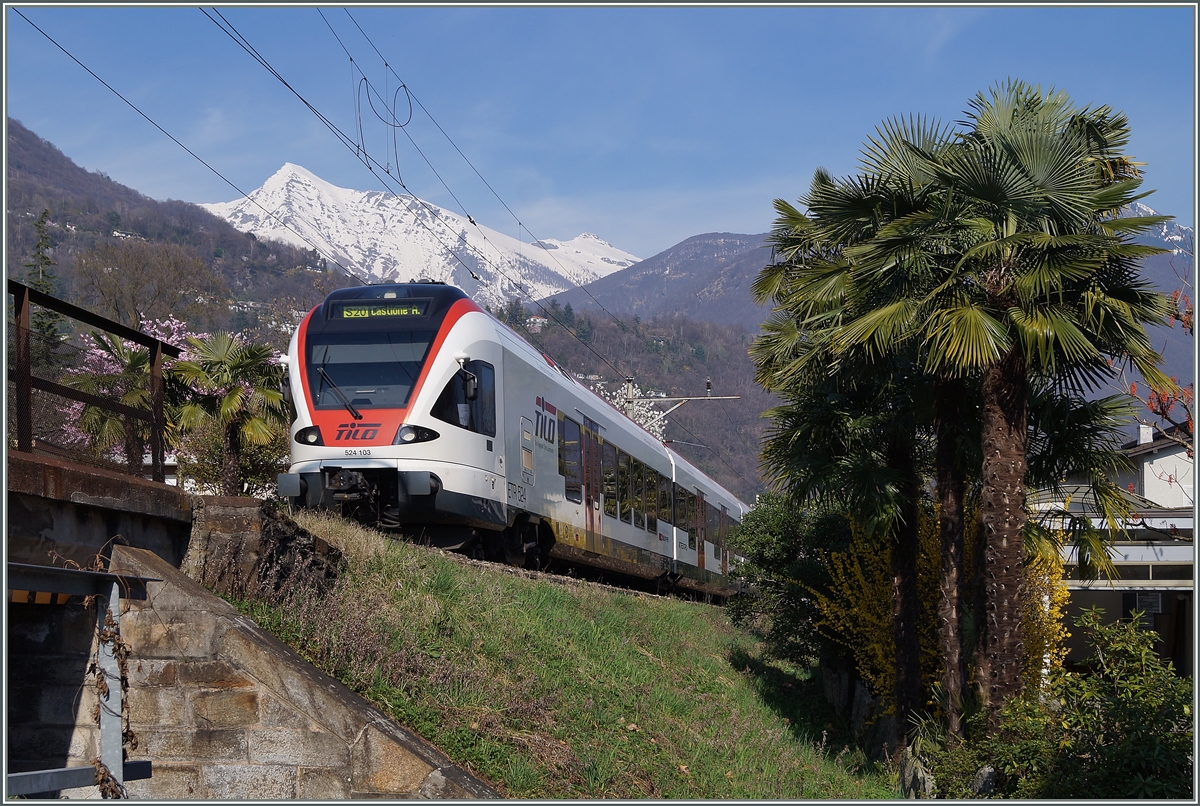 The SBB 524 103 by Muralto.
18.03.2014