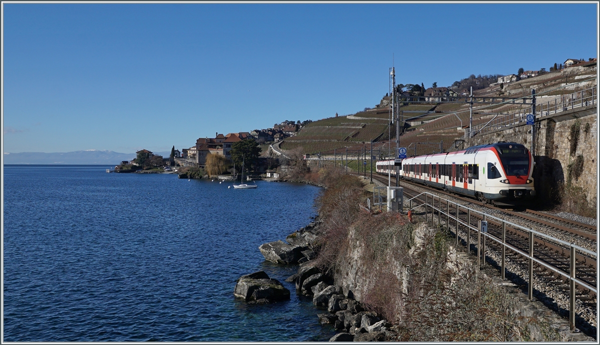The SBB Flirt RABe 523 023 and an other on on the way to Aigle between Rivaz and St Saphorin. 

11.01.2022