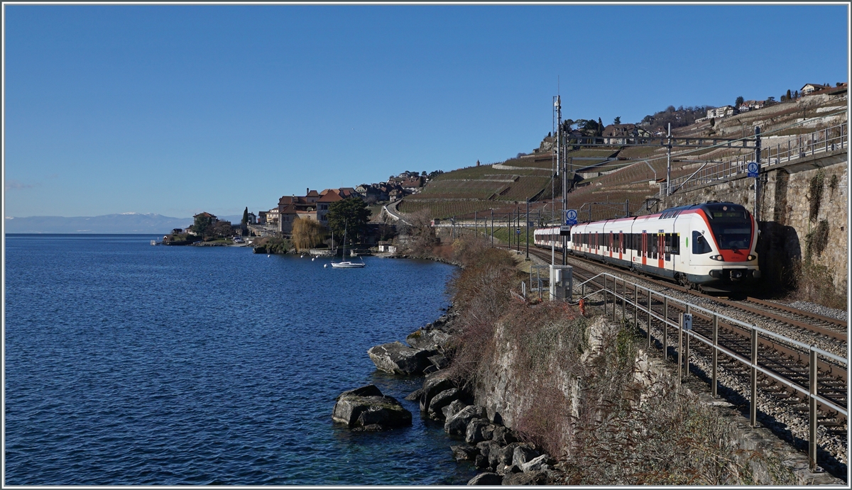 The SBB Flirt RABe 523 023 and an other on on the way to Aigle between Rivaz and St Saphorin. 

11.01.2022