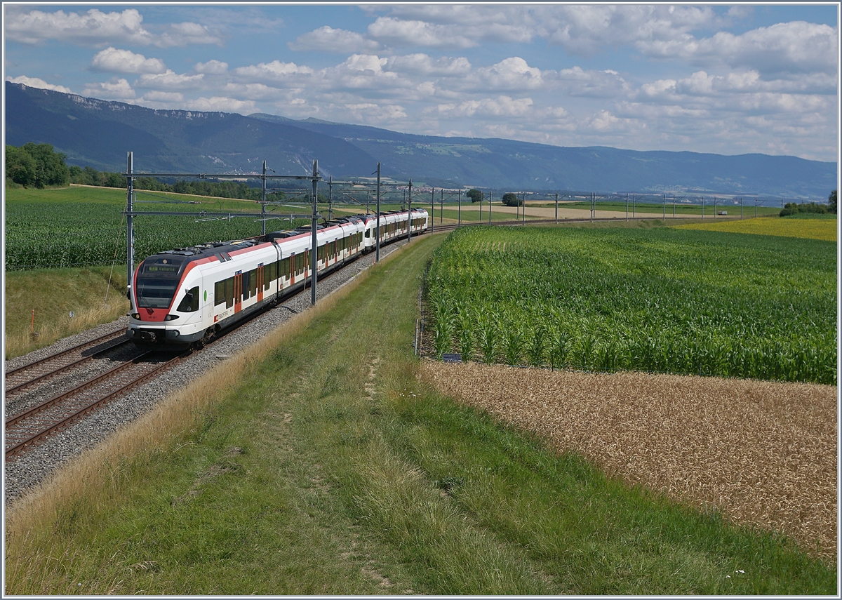 The SBB Flirts RABe 523 059 and 027 on the way from Villeneuve to Vallorbe by Arnex. 

14.07.2020