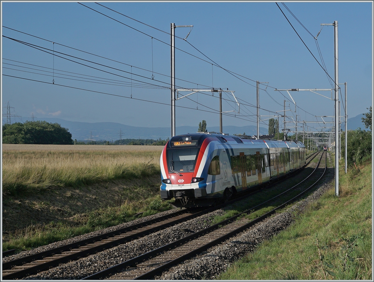 The SBB LEX RABe 522 229 on the way to La Plaine near Satigny; in the background is the SL 5 Service from La Plaine to Geneve to see. 

19.07.2021
