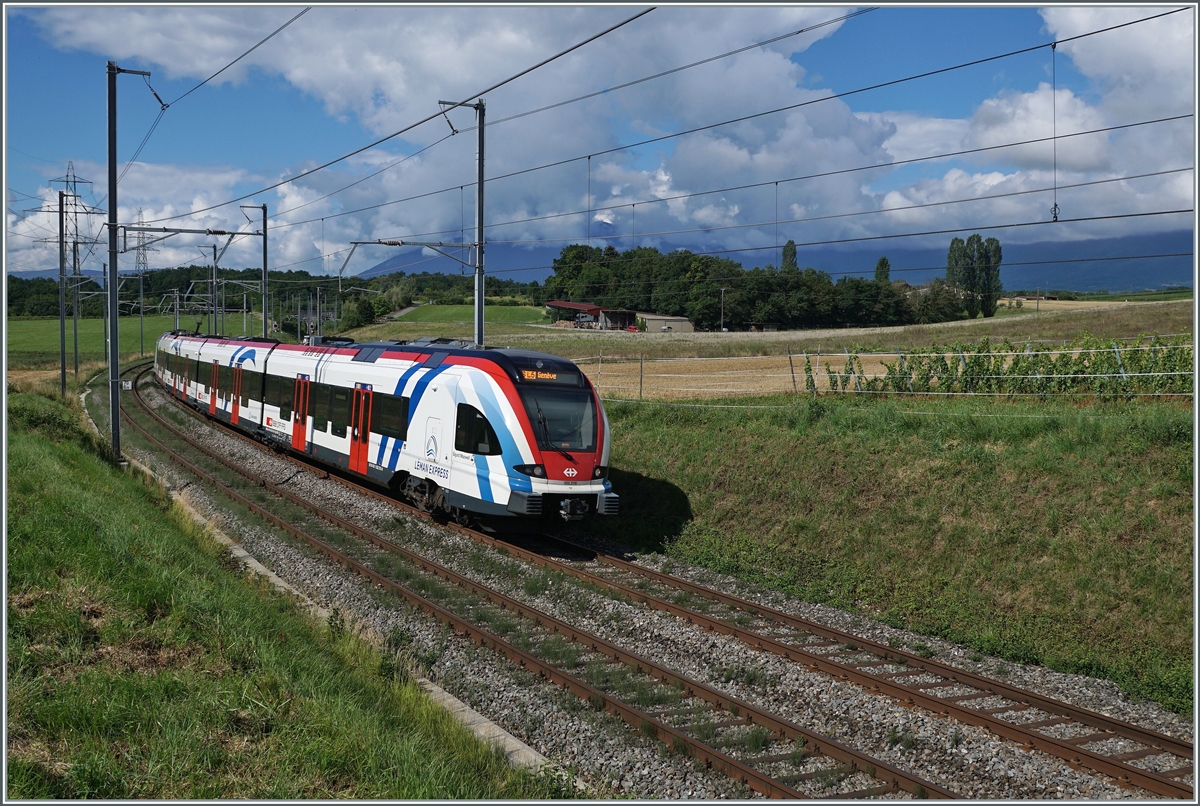 The SBB LEX RABe 522 215 by Satigny on the way to Geneva.

02.08.2021