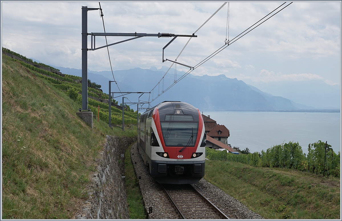 The SBB RABe 511 017 on the way to Fribourg near Chexbres. 
10.07.2018