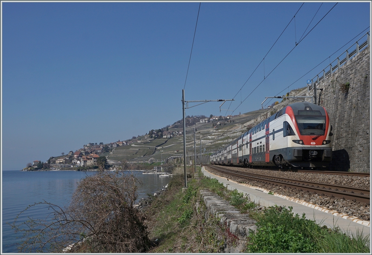 The SBB RABe 511 019 on the way to Vevey by St Saphorin. 

25.03.2022