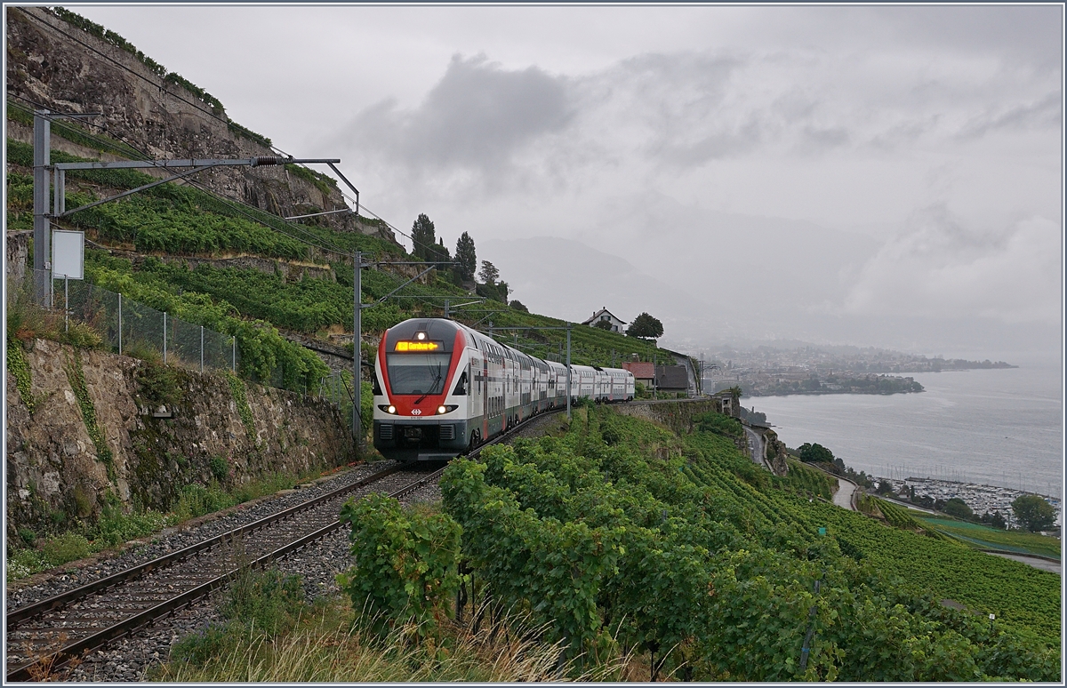 The SBB RABe 511 027 on the way to Geneva Airport on the vineyard line (work on the line via Cully). 

29.08.2020