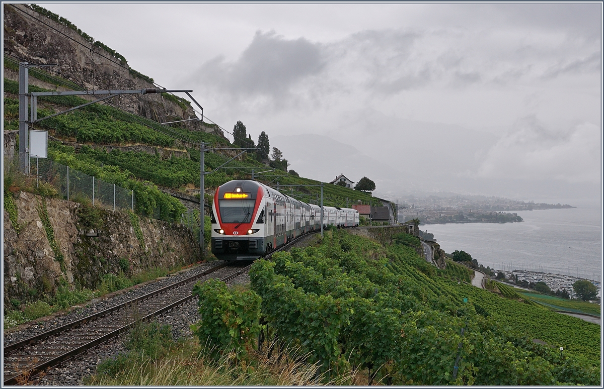 The SBB RABe 511 027 on the way to Geneva Airport on the vineyard line (work on the line via Cully). 

29.08.2020