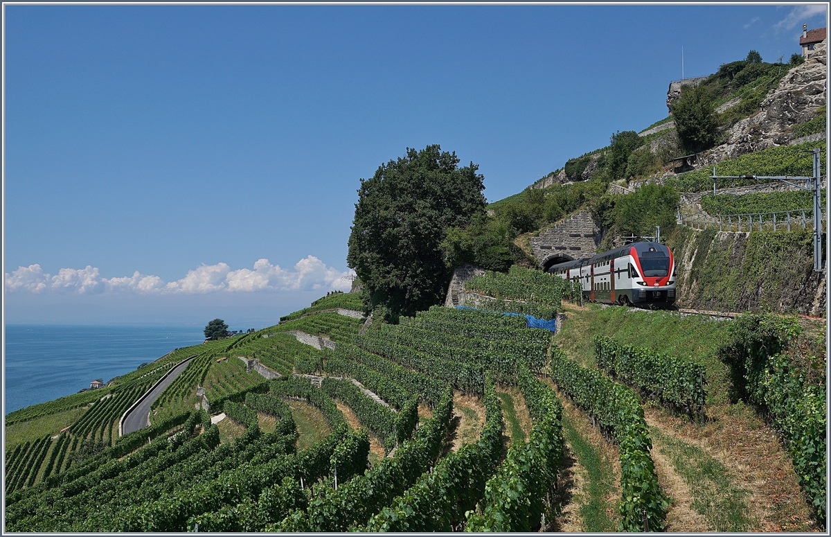 The SBB RABe 511 037 on the way to Geneva between Chexbres and Vevey.
19.07.2018