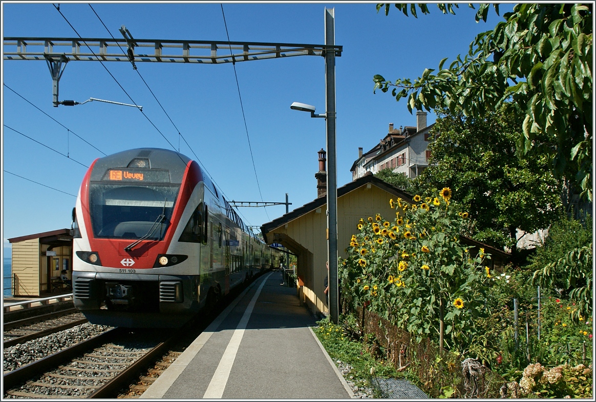 The SBB RABe 511 103 in St Saphorin.
09.09.13