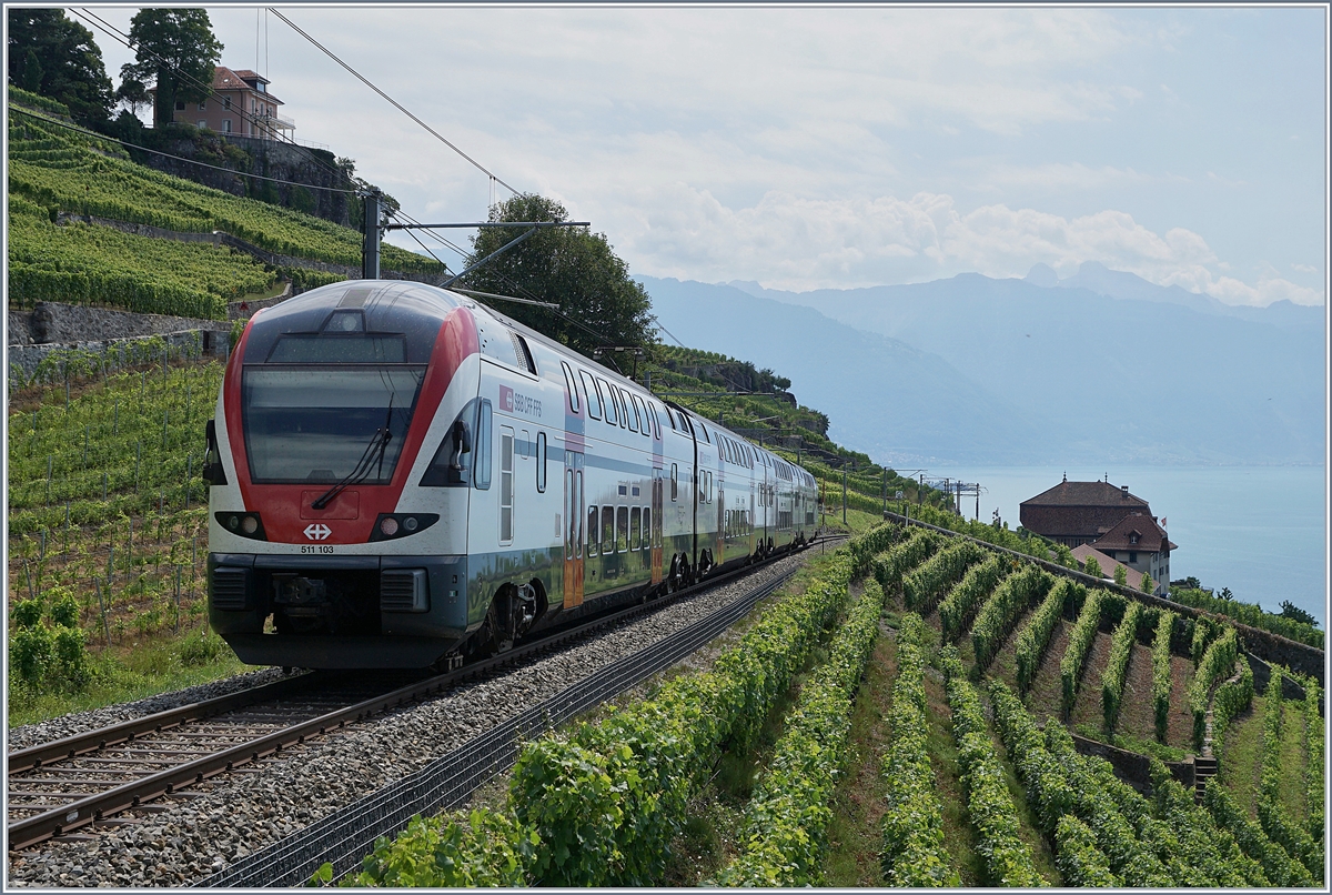 The SBB RABe 511 103 on the way to Vevey and Geneva near Chexbres.
10.07.2018