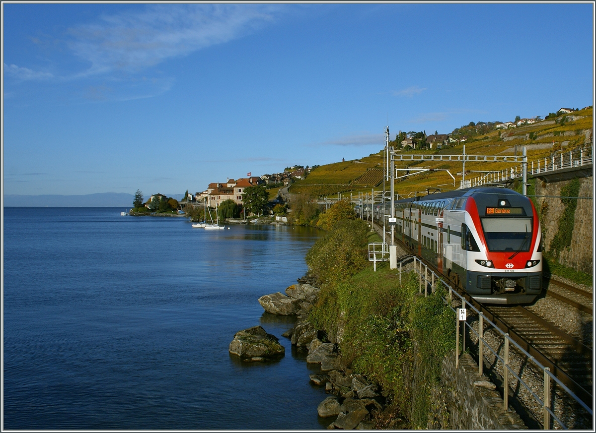 The SBB RABe 511 104 between St Saphorin and Rivaz.
28.10.2013 