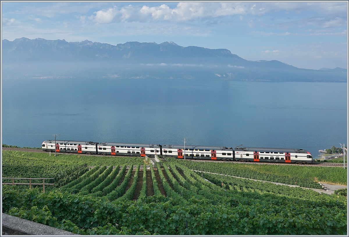 The SBB RABe 511 104 on the way to Puidoux near Chexbres.

26.07.2019