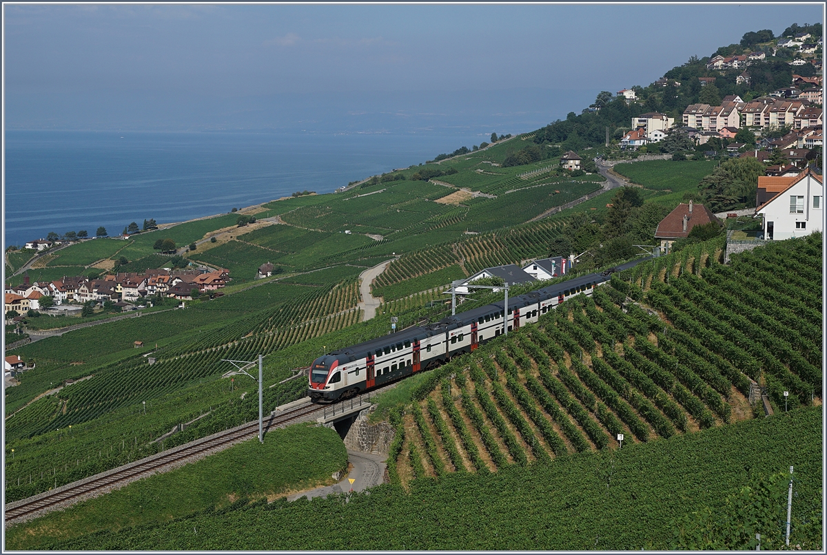 The SBB RABe 511 104 near Chexbres. 

24.07.2019