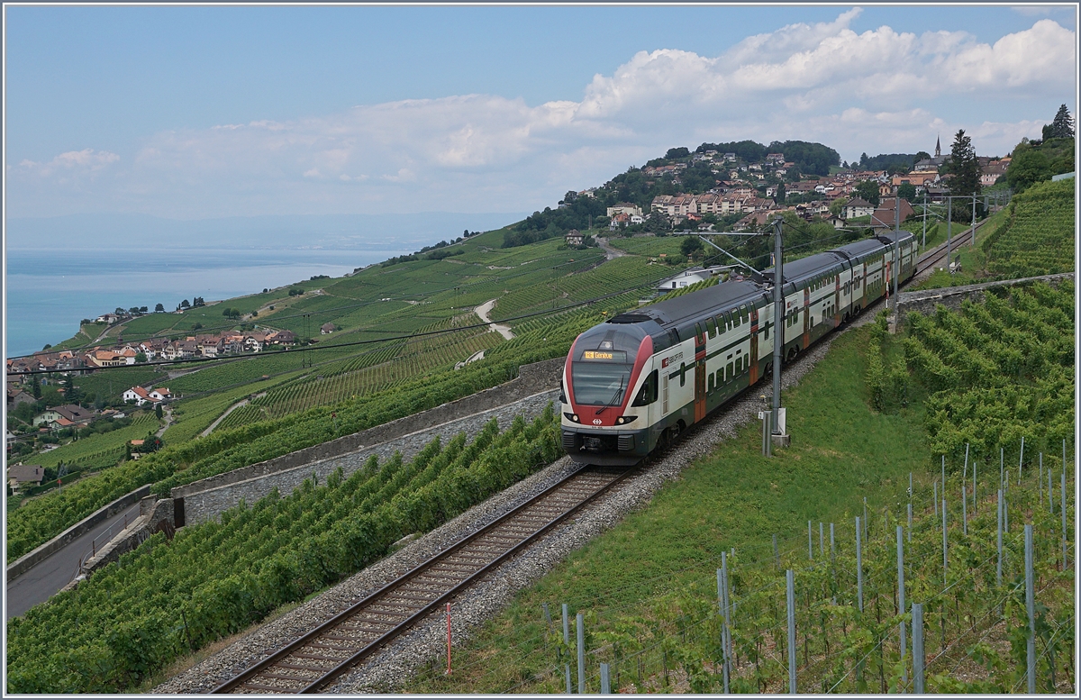 The SBB RABe 511 105 on the way to Vevey and Geneva near Chexbres.
10.07.2018