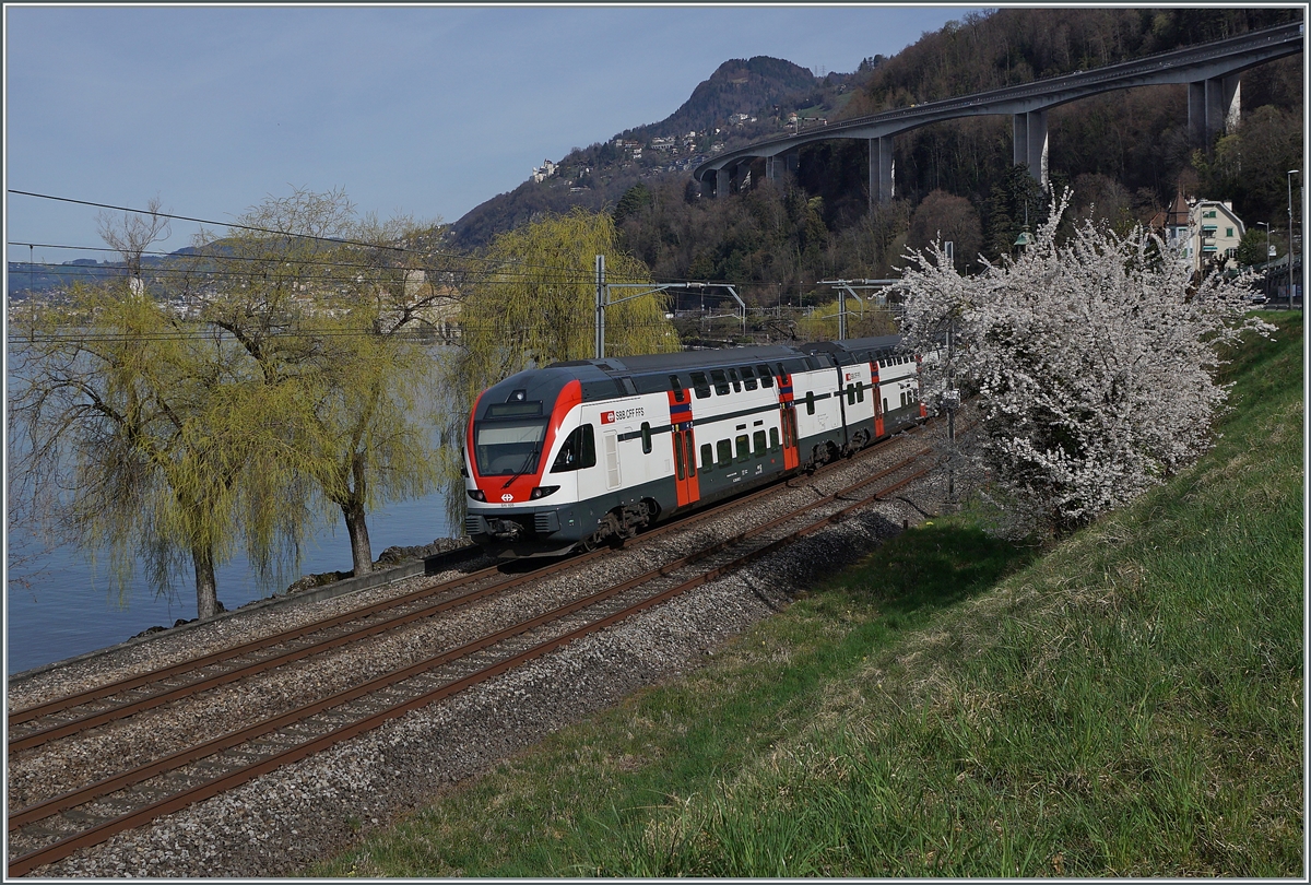 The SBB RABe 511 105 is by the Castle of Chillon onthe way to Annemasse. 

21.03.2023