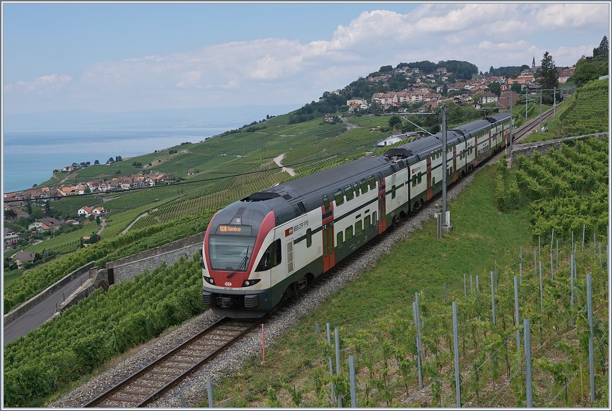 The SBB RABe 511 105 over St-Saphorin on the way to Geneva. 

10.07.2018