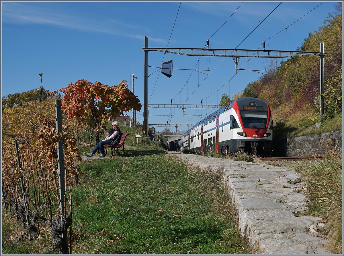 The SBB RABe 511 109 on the way to Romont near Bossiere.
26.10.2017