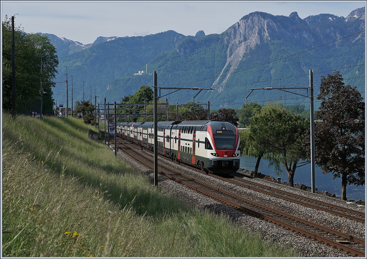 The SBB RABe 511 110 on the way to Geneva near Villeneuve.

08.05.2020