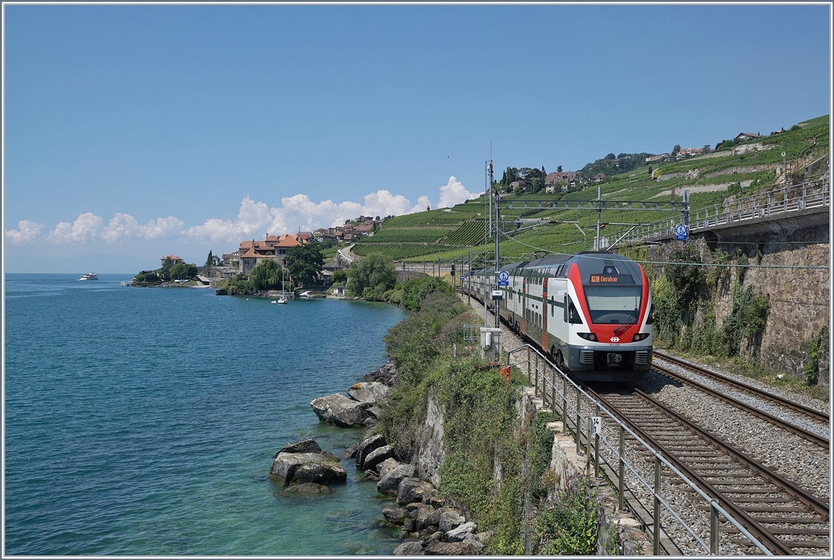 The SBB RABe 511 112 on the way to Geneva between St Saphorain and Rivaz. 
19.07.2018