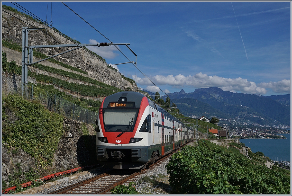 The SBB RABe 511 112 from Fribourg to Geneva between Chexbres and Vevey in the Lavaux Vineyards.
26.08.2018