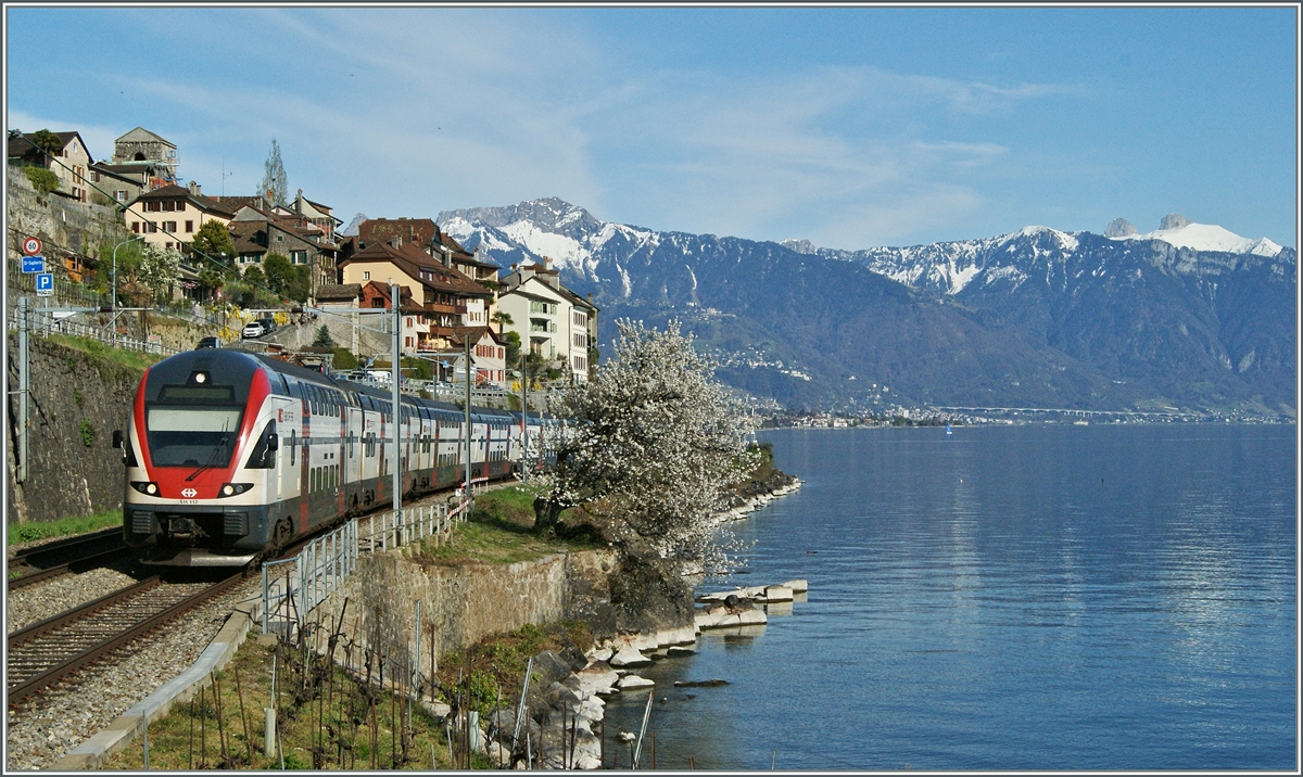 The SBB RABe 511 117 by St Saphorin.
15.04.2015