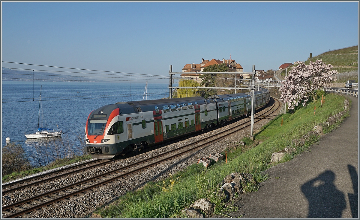 The SBB RABe 511 117  Schauffhausen  by Rivaz. 

01.04.2021