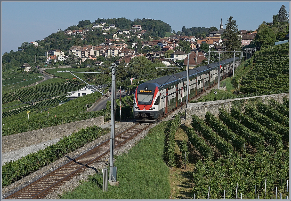 The SBB RABe 511 120 and an other one by Chexbrex on the way to Fribourg.
27.07.2018