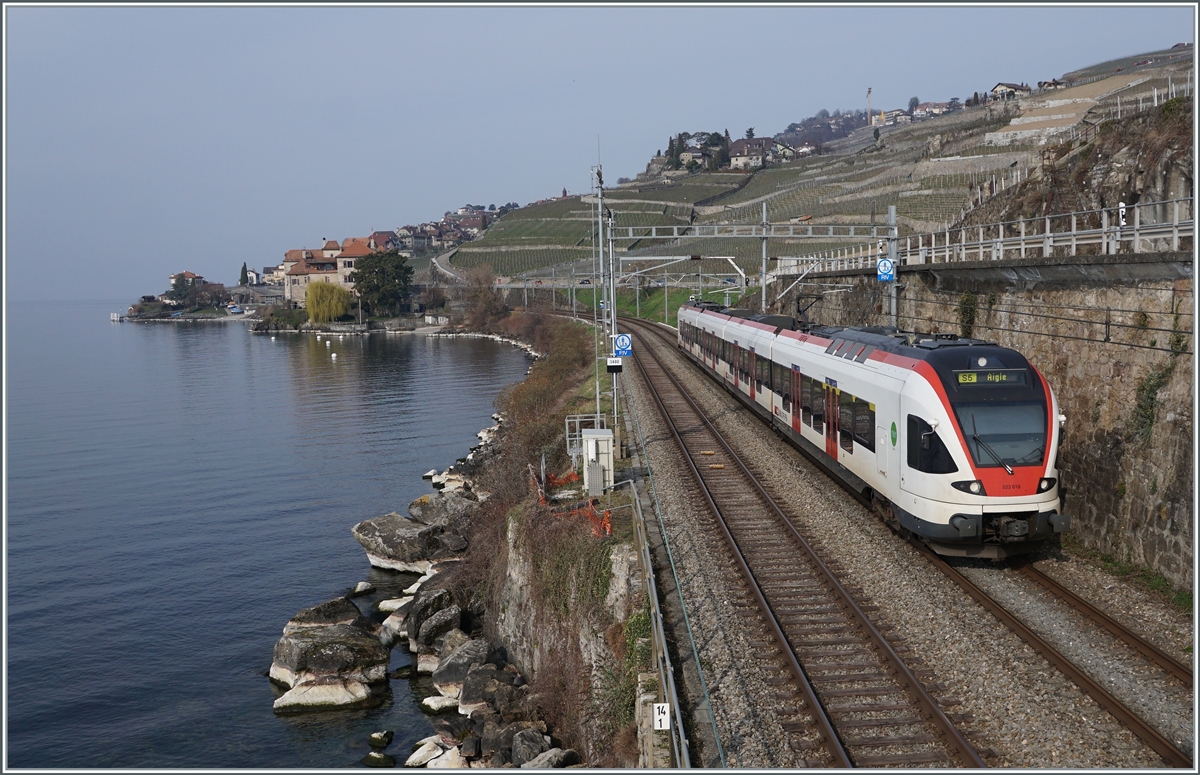 The SBB RABe 523 018 on the way to Aigle between Rivaz and St-Saphorin. 

09.03.2021