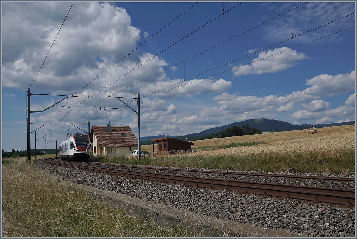 The SBB RABe 523 021  La Veveyse  on the way to Villeneuve near Arnex. 

14.07.2020