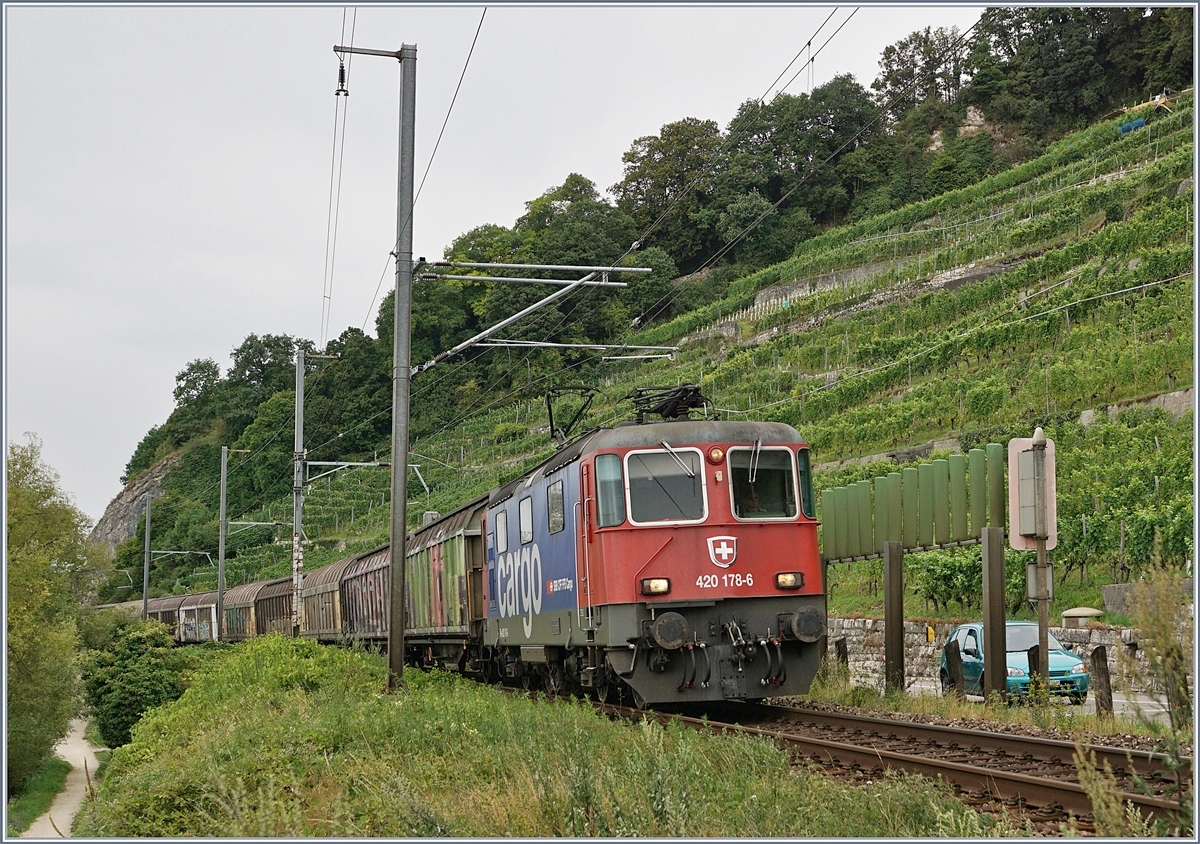 The SBB Re 420 178-6 between Ligerz and Twann.
31.07.2017