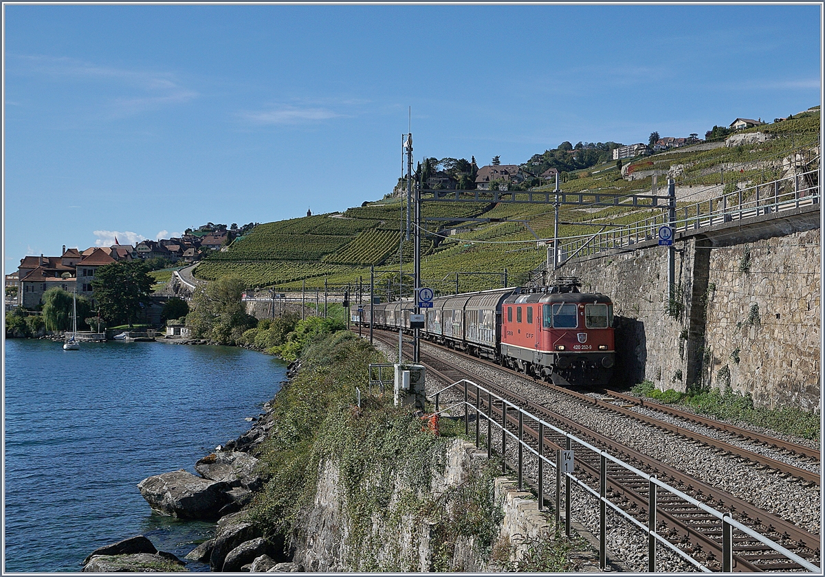 The SBB Re 420 252-9 with Cargo Train between Rivaz and St Saporin.

30. 09.2019