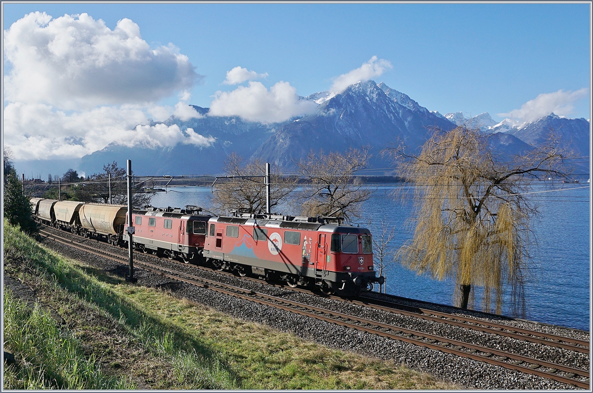The SBB Re 4/4 II 11294 (Re 420 294-1) KNIE and an other one with a Cargo Train near Villeneuve. 

05.02.2020