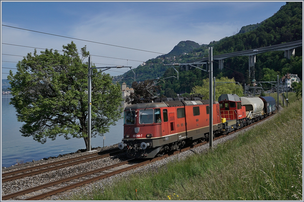 The SBB Re 4/4 II 11248 with a Cargo Service near Villeneuve. 

08.05.2020