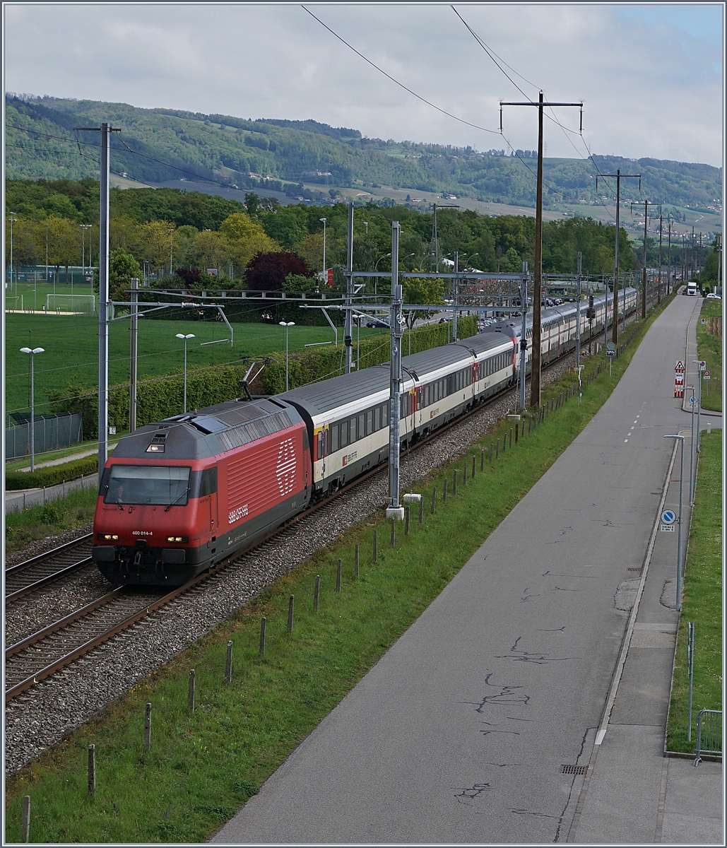 The SBB Re 460 014-4 and an other one with an IC St Gallen Geneva Airport near Gland.
09.05.2017