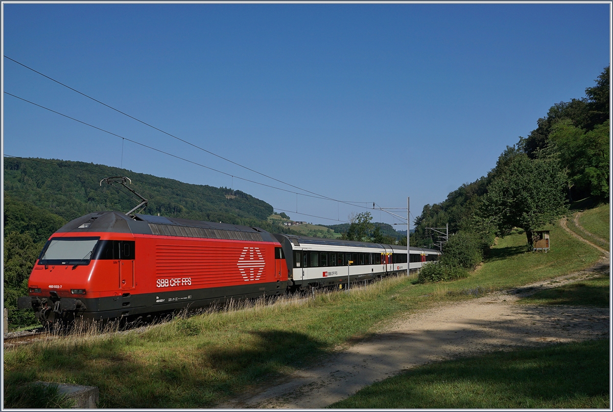 The SBB Re 460 022-7 with his IC61 betwenn Sommerau and Diepflingen (Alte Hauensteinline)  on the way to Basel SBB. This place is calling  Gotthard.
18.07.2018