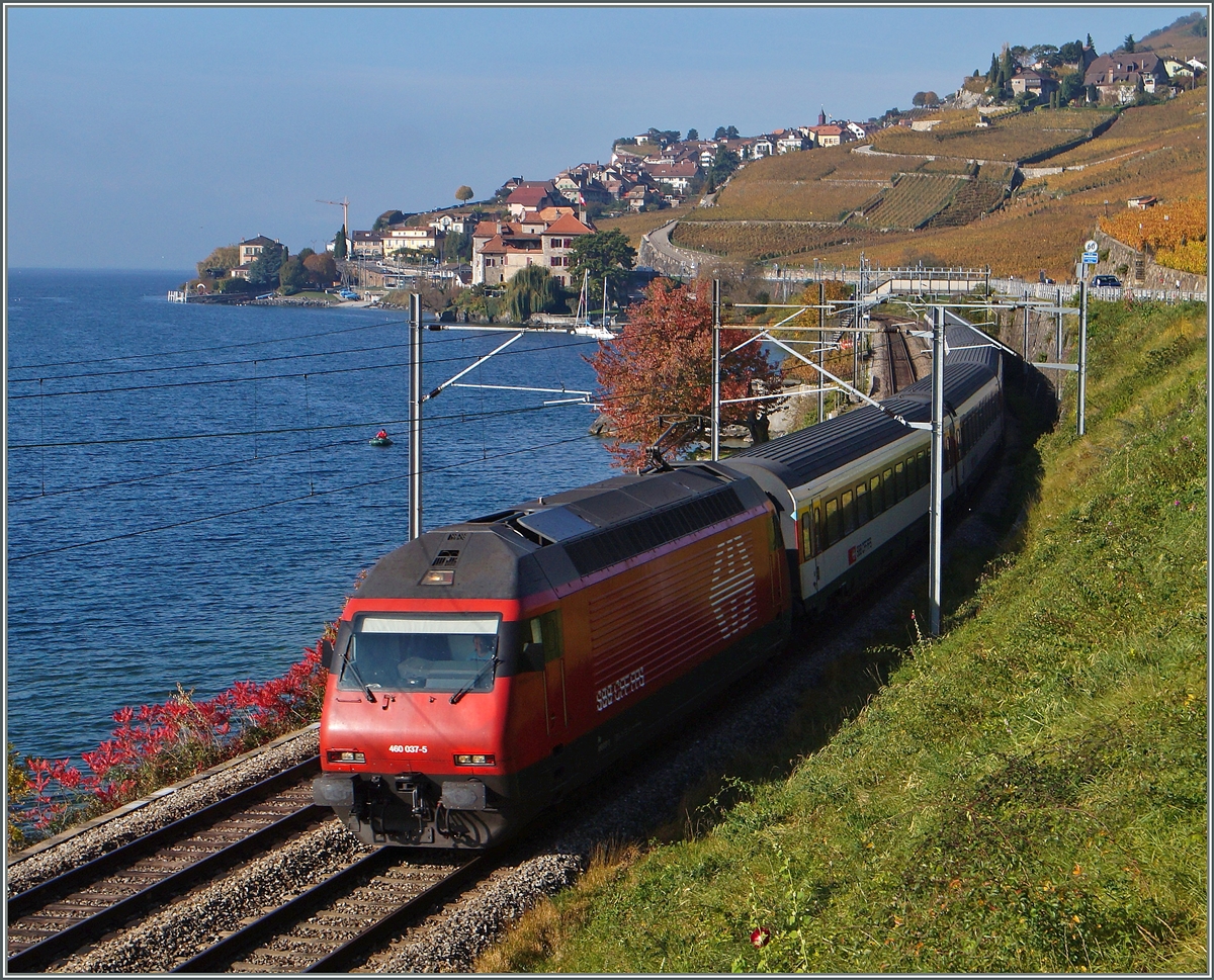 The SBB Re 460 037-5 wiht an IR between Rivaz and St Saphorin. 
02.11.2014