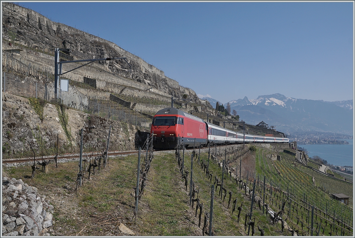 The SBB Re 460 039-1 with his IR 30818 on the way from Birg ot Geneva-Airport on the vineyarde line between Vevey and Chexbres (works on the line via Cully). 

20.03.2022