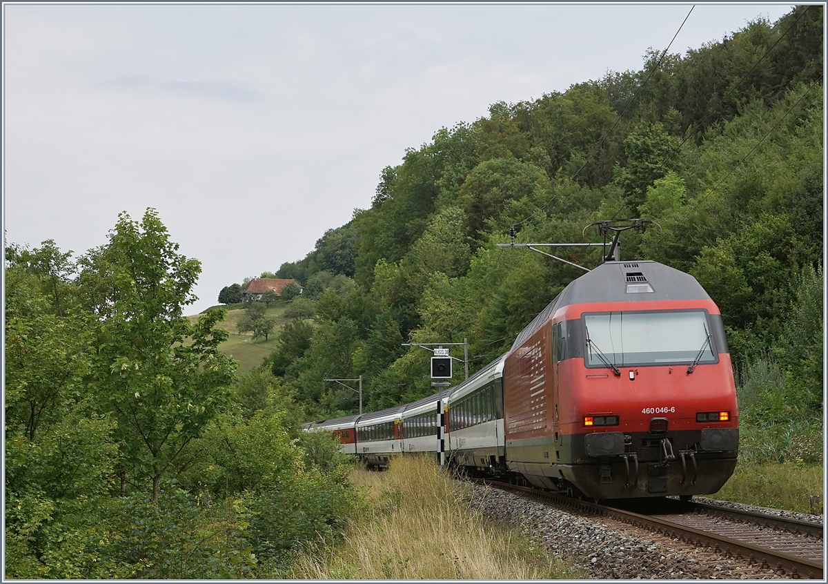 The SBB Re 460 046-6 with an IC to Basel between Läufelfingen and Buckten on the  Alte Hauenstein Line .
07.08.2018