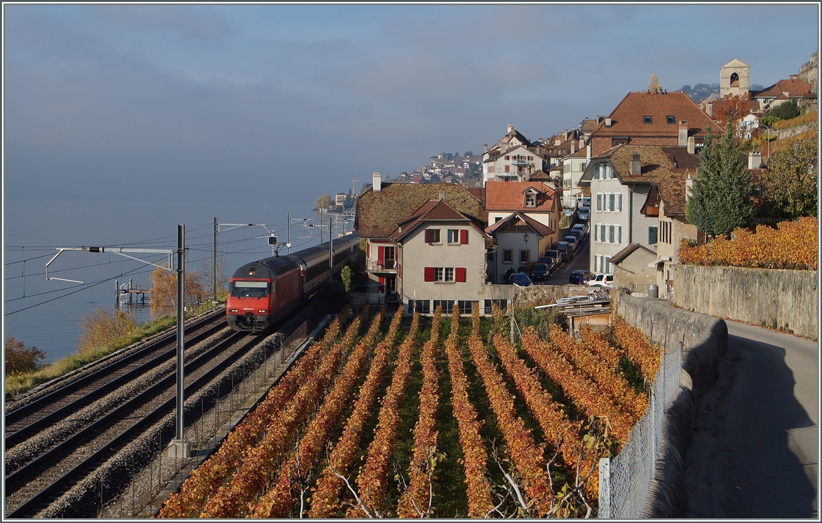 The SBB Re 460 049-0 with an IR by St Saphorin. 22.11.2014