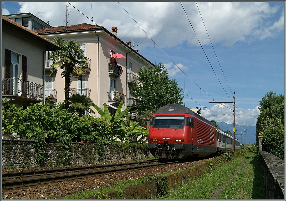 The SBB Re 460 059-9 with his IR 2323 from Basel is arriving at his destination Locarno.
21.06.2015