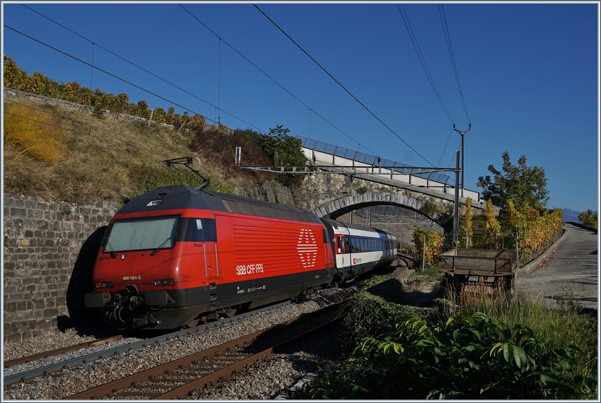 The SBB Re 460 061-3 with an IR to Brig by Cully.
16.10.2017