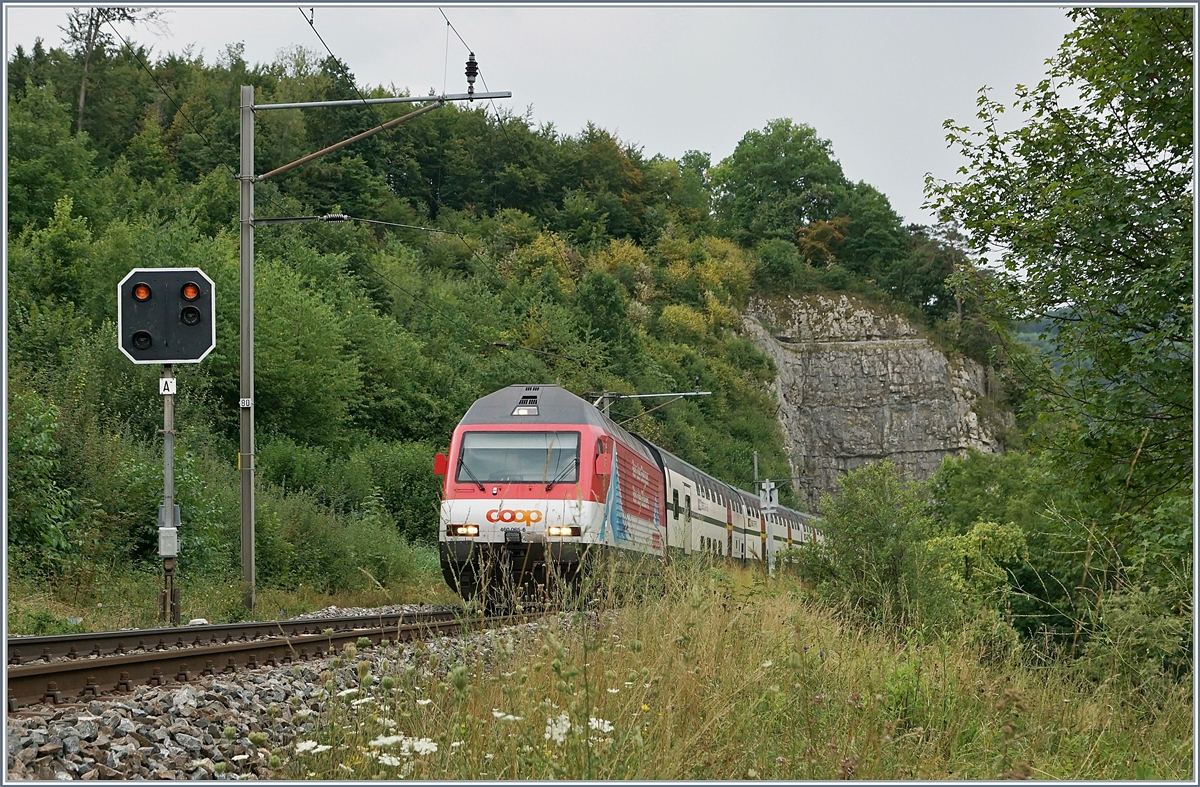 The SBB Re 460 065-5 wiht an IR to Basel between Läufelfingen and Buckten (Alte Hauenstein Line) 07.08.2018