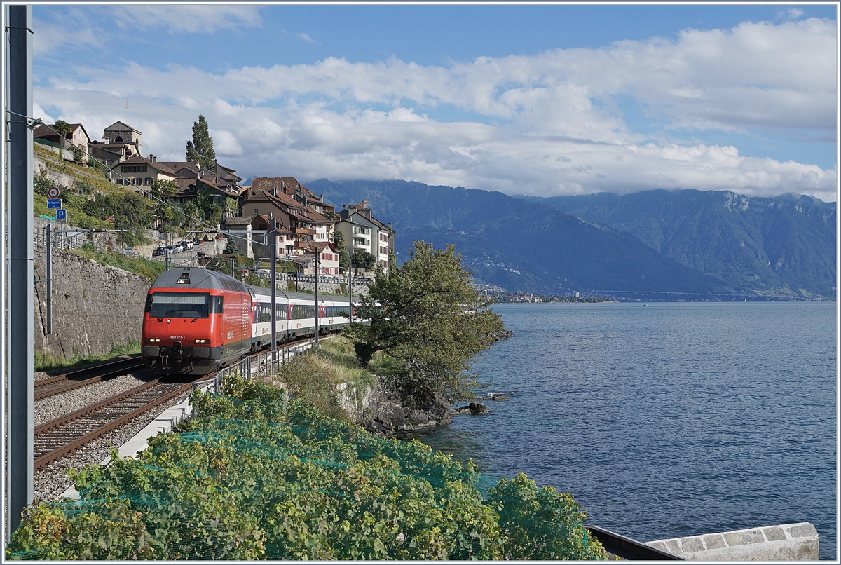 La SBB Re 460 071-8 è a St Saphorin con un IR diretto da Brig a Genève Aéroport.

30 settembre 2019