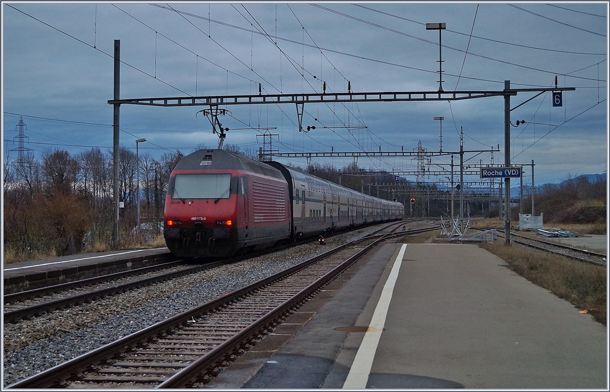 The SBB Re 460 073-0 wiht an IR from Brig to Geneva Airport by Roche VD. 

06.01.2019