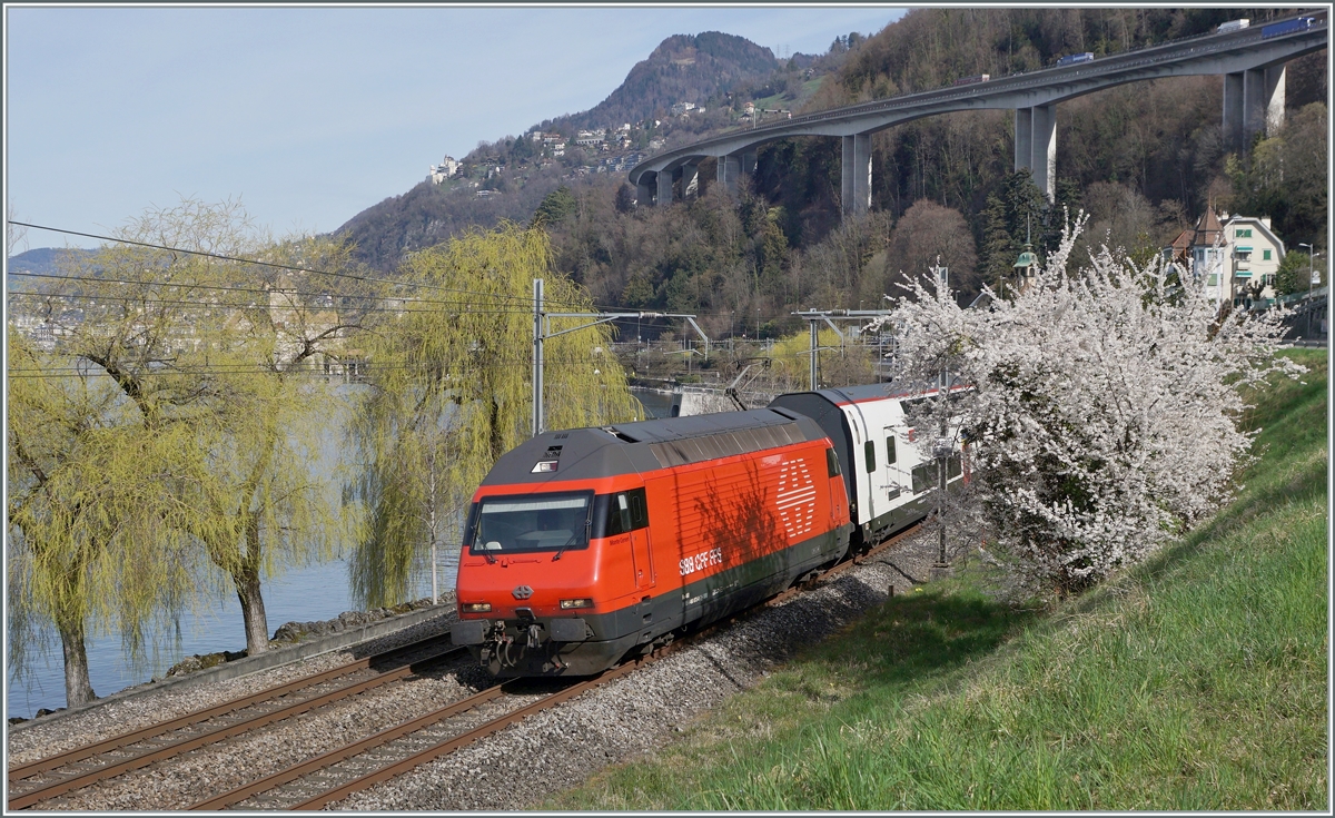 The SBB Re 460 073-0  Monte Generoso  with a IR 90 Geneva Airport to Brig near Villeneuve. 

21.03.2021